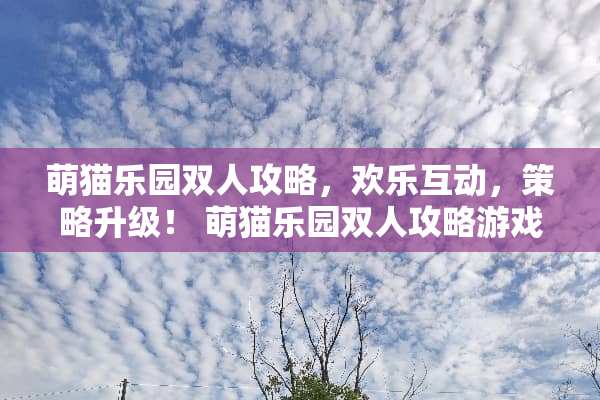 萌猫乐园双人攻略，欢乐互动，策略升级！ 萌猫乐园双人攻略游戏