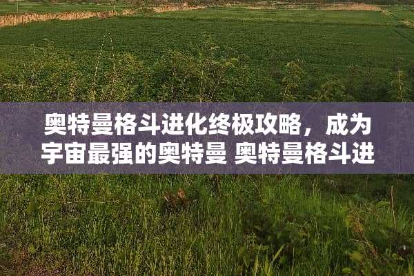 奥特曼格斗进化终极攻略，成为宇宙最强的奥特曼 奥特曼格斗进化攻略