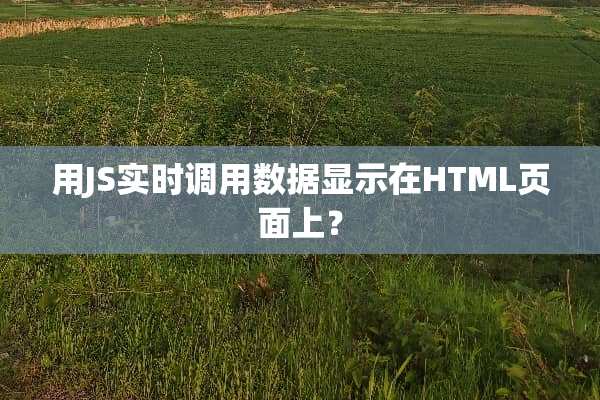 用JS实时调用数据显示在HTML页面上？