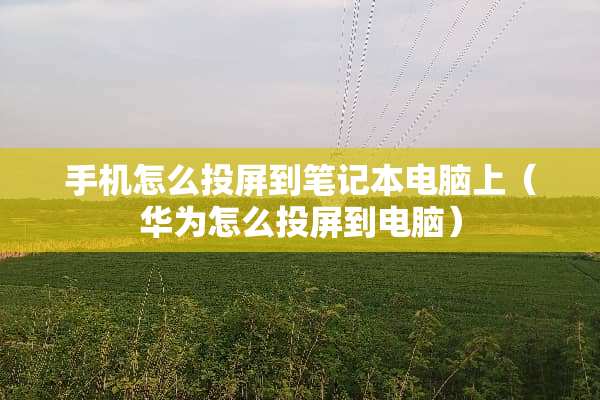 手机怎么投屏到笔记本电脑上（华为怎么投屏到电脑）