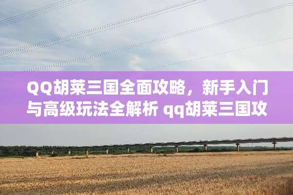 QQ胡莱三国全面攻略，新手入门与高级玩法全解析 qq胡莱三国攻略