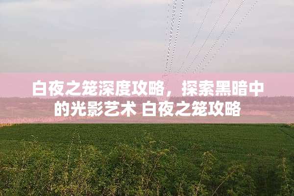 白夜之笼深度攻略，探索黑暗中的光影艺术 白夜之笼攻略