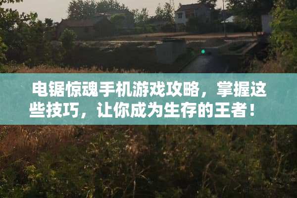 电锯惊魂手机游戏攻略，掌握这些技巧，让你成为生存的王者！ 电锯惊魂手机游戏攻略