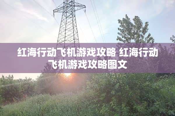 红海行动飞机游戏攻略 红海行动飞机游戏攻略图文