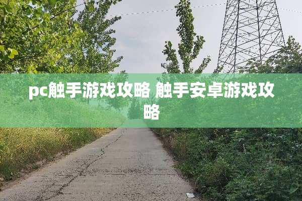 pc触手游戏攻略 触手安卓游戏攻略