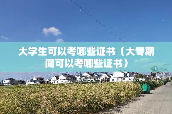 大学生可以考哪些证书（大专期间可以考哪些证书）
