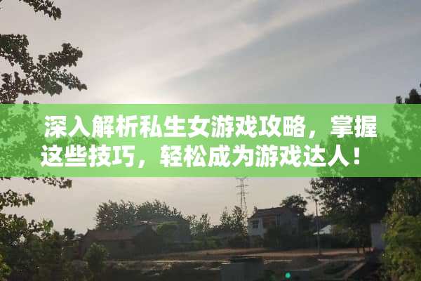 深入解析私生女游戏攻略，掌握这些技巧，轻松成为游戏达人！ 私生女游戏攻略