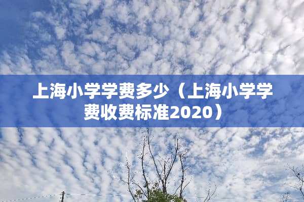 上海小学学费多少（上海小学学费收费标准2020）