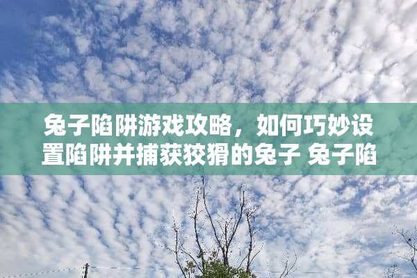 兔子陷阱游戏攻略，如何巧妙设置陷阱并捕获狡猾的兔子 兔子陷阱游戏玩法