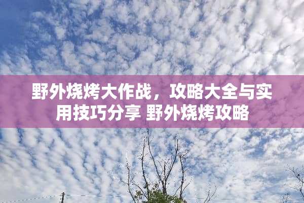 野外烧烤大作战，攻略大全与实用技巧分享 野外烧烤攻略