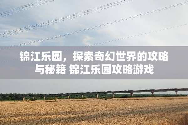 锦江乐园，探索奇幻世界的攻略与秘籍 锦江乐园攻略游戏