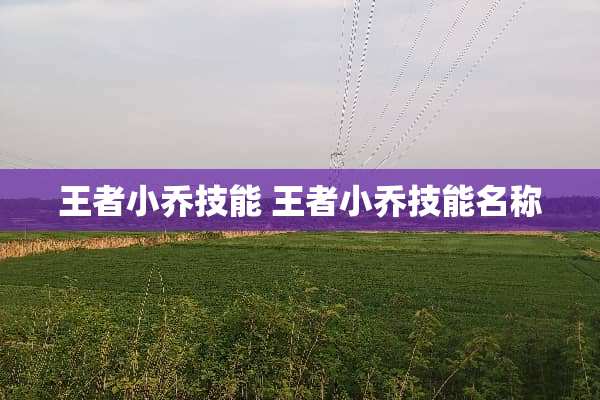 王者小乔技能 王者小乔技能名称