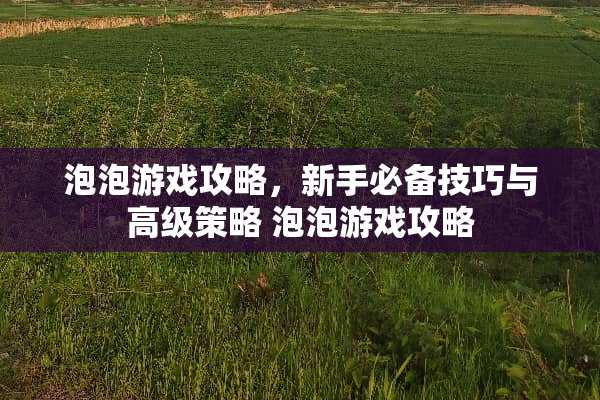 泡泡游戏攻略，新手必备技巧与高级策略 泡泡游戏攻略