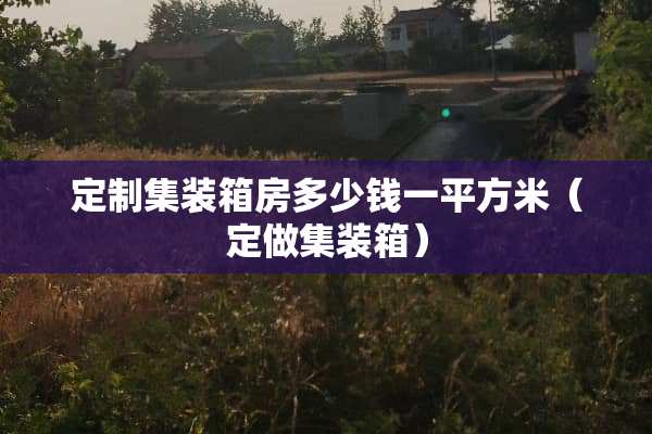 定制集装箱房多少钱一平方米（定做集装箱）