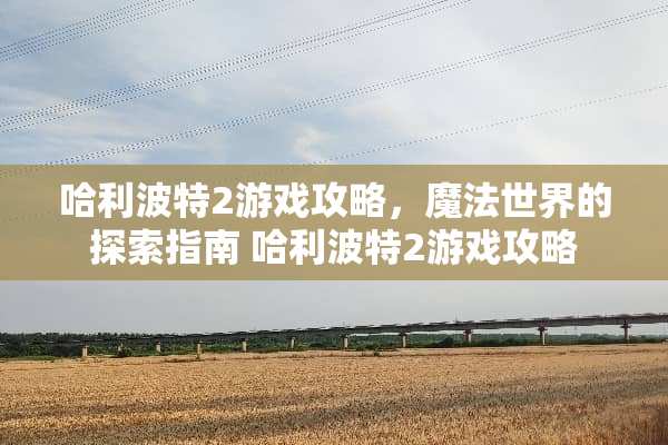 哈利波特2游戏攻略，魔法世界的探索指南 哈利波特2游戏攻略