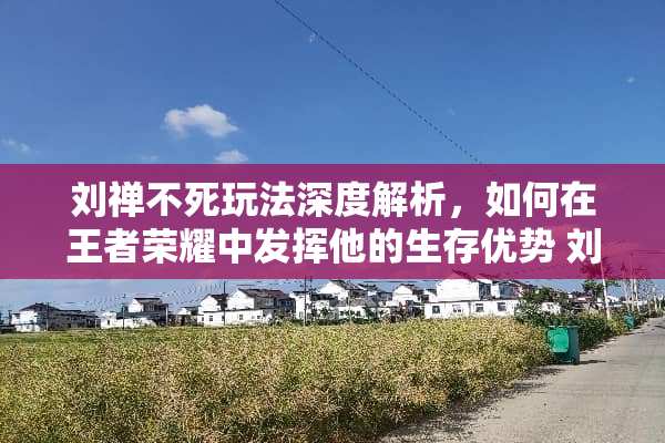刘禅不死玩法深度解析，如何在王者荣耀中发挥他的生存优势 刘禅不死玩法