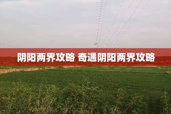 *阳两界攻略 奇遇*阳两界攻略