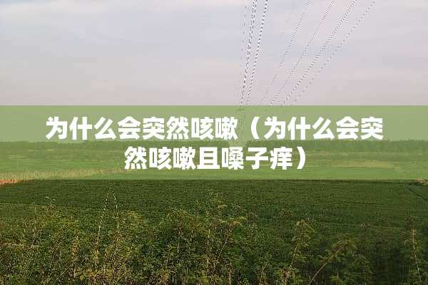 为什么会突然咳嗽（为什么会突然咳嗽且嗓子痒）