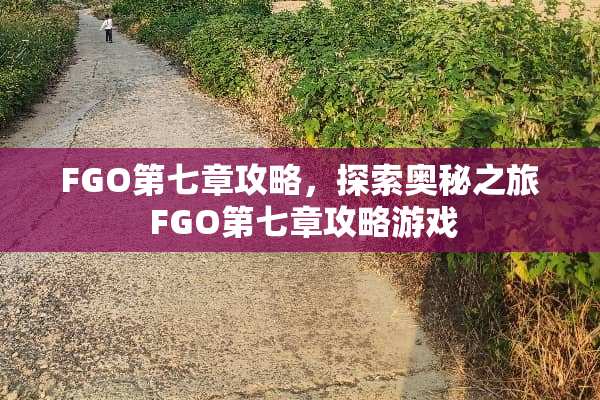 FGO第七章攻略，探索奥秘之旅 FGO第七章攻略游戏