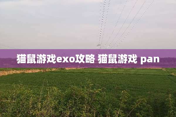 猫鼠游戏exo攻略 猫鼠游戏 pan
