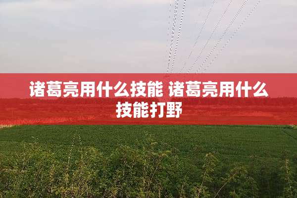诸葛亮用什么技能 诸葛亮用什么技能打野