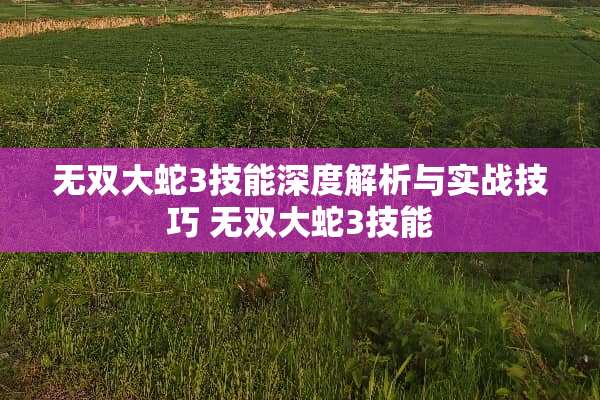 无双大蛇3技能深度解析与实战技巧 无双大蛇3技能