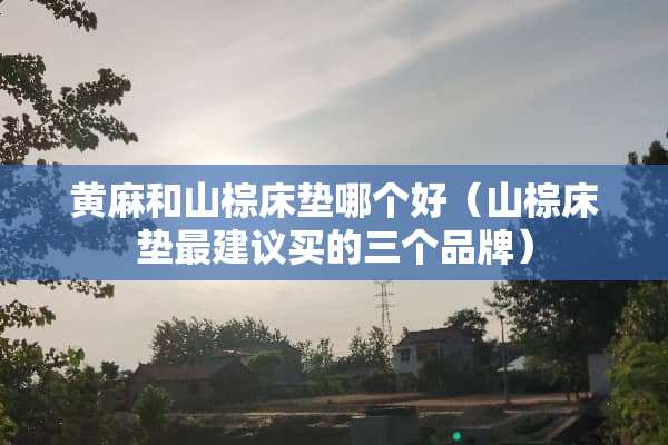 黄麻和山棕床垫哪个好（山棕床垫最建议买的三个品牌）