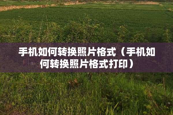 手机如何转换照片格式（手机如何转换照片格式打印）