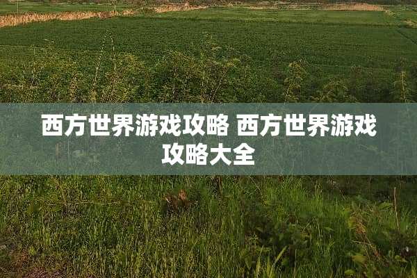 西方世界游戏攻略 西方世界游戏攻略大全