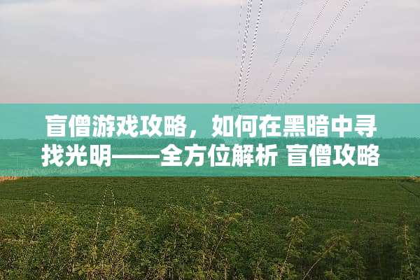 盲僧游戏攻略，如何在黑暗中寻找光明——全方位解析 盲僧攻略游戏