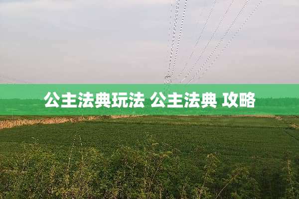 公主法典玩法 公主法典 攻略