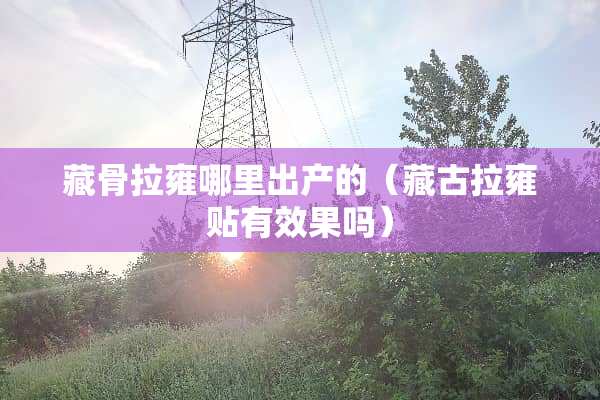 藏骨拉雍哪里出产的（藏古拉雍贴有效果吗）