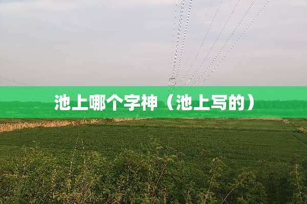 池上哪个字神（池上写的）