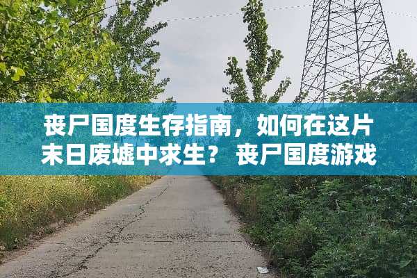 丧尸国度生存指南，如何在这片末日废墟中求生？ 丧尸国度游戏攻略