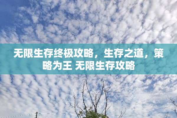 无限生存终极攻略，生存之道，策略为王 无限生存攻略