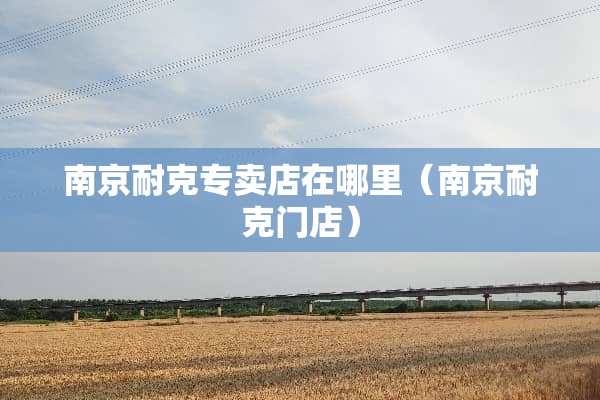 南京耐克专卖店在哪里（南京耐克门店）