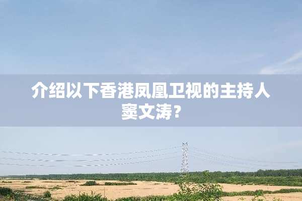 介绍以下香港凤凰卫视的主持人窦文涛？