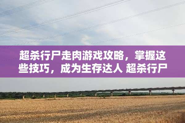 超杀行尸走肉游戏攻略，掌握这些技巧，成为生存达人 超杀行尸走肉攻略