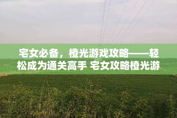宅女必备，橙光游戏攻略——轻松成为通关高手 宅女攻略橙光游戏