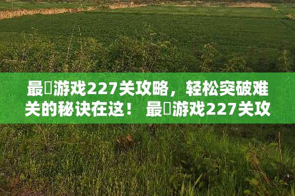 最囧游戏227关攻略，轻松突破难关的秘诀在这！ 最囧游戏227关攻略