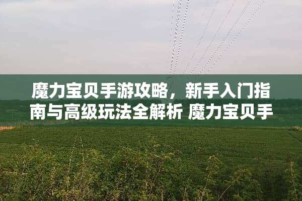 魔力宝贝手游攻略，新手入门指南与高级玩法全解析 魔力宝贝手游攻略