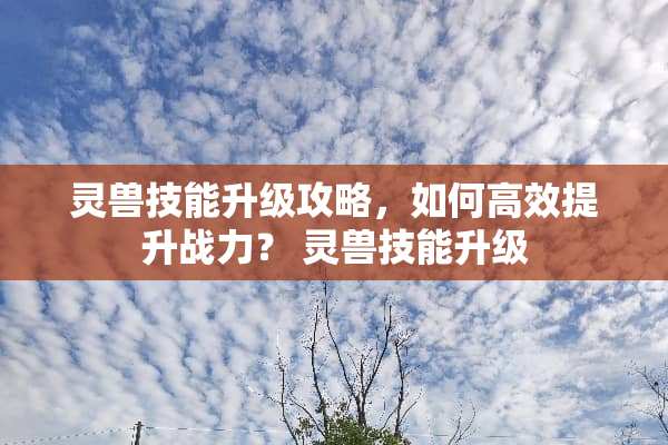 灵兽技能升级攻略，如何高效提升战力？ 灵兽技能升级