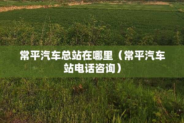 常平汽车总站在哪里（常平汽车站电话咨询）