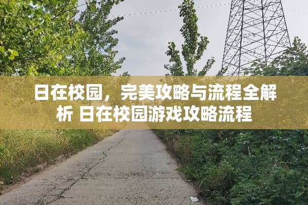 日在校园，完美攻略与流程全解析 日在校园游戏攻略流程