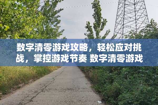数字清零游戏攻略，轻松应对挑战，掌控游戏节奏 数字清零游戏攻略