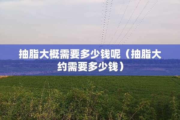 抽脂大概需要多少钱呢（抽脂大约需要多少钱）