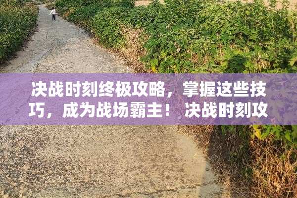 决战时刻终极攻略，掌握这些技巧，成为战场霸主！ 决战时刻攻略