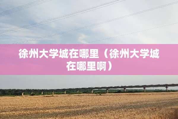 徐州大学城在哪里（徐州大学城在哪里啊）
