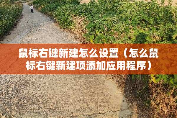 鼠标右键新建怎么设置（怎么鼠标右键新建项添加应用程序）