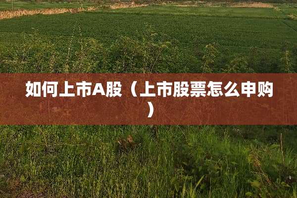 如何上市A股（上市股票怎么申购）